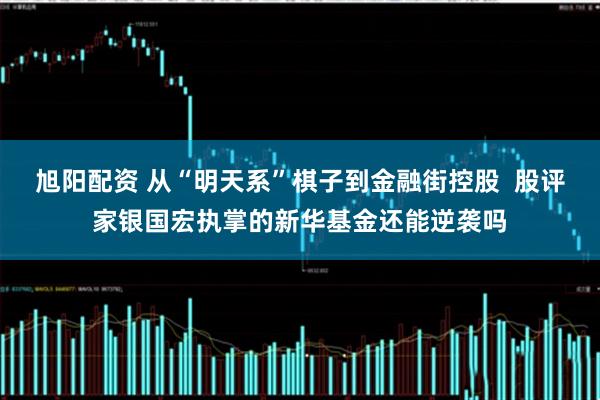 旭阳配资 从“明天系”棋子到金融街控股  股评家银国宏执掌的新华基金还能逆袭吗