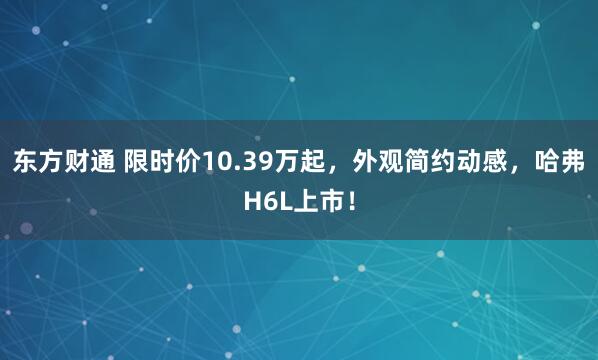 东方财通 限时价10.39万起，外观简约动感，哈弗H6L上市！