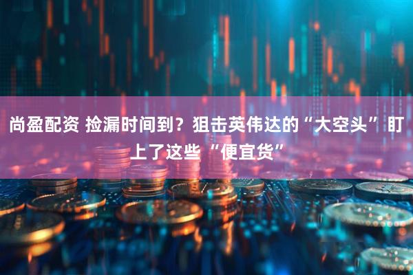 尚盈配资 捡漏时间到？狙击英伟达的“大空头” 盯上了这些 “便宜货”