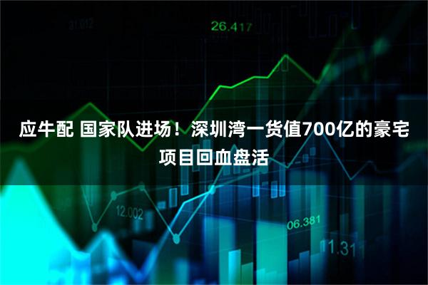 应牛配 国家队进场！深圳湾一货值700亿的豪宅项目回血盘活