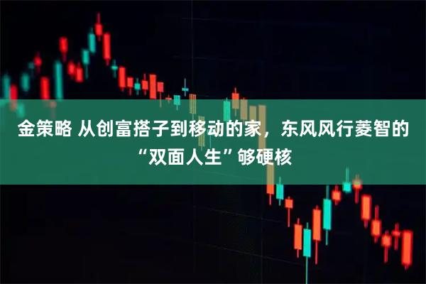 金策略 从创富搭子到移动的家，东风风行菱智的“双面人生”够硬核